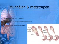 /album/matspjalkningssystemet/a6-matspja%cc%88lkningssystemet-006-jpeg/
